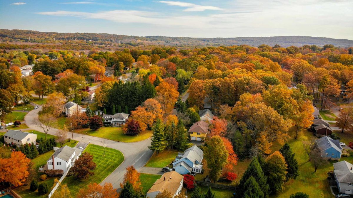 aerial view of houses surrounded by trees